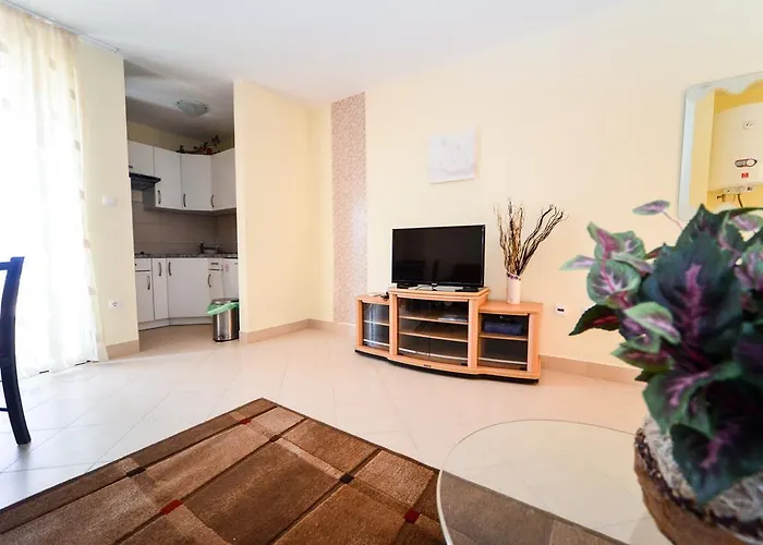 Ivan Apartament *